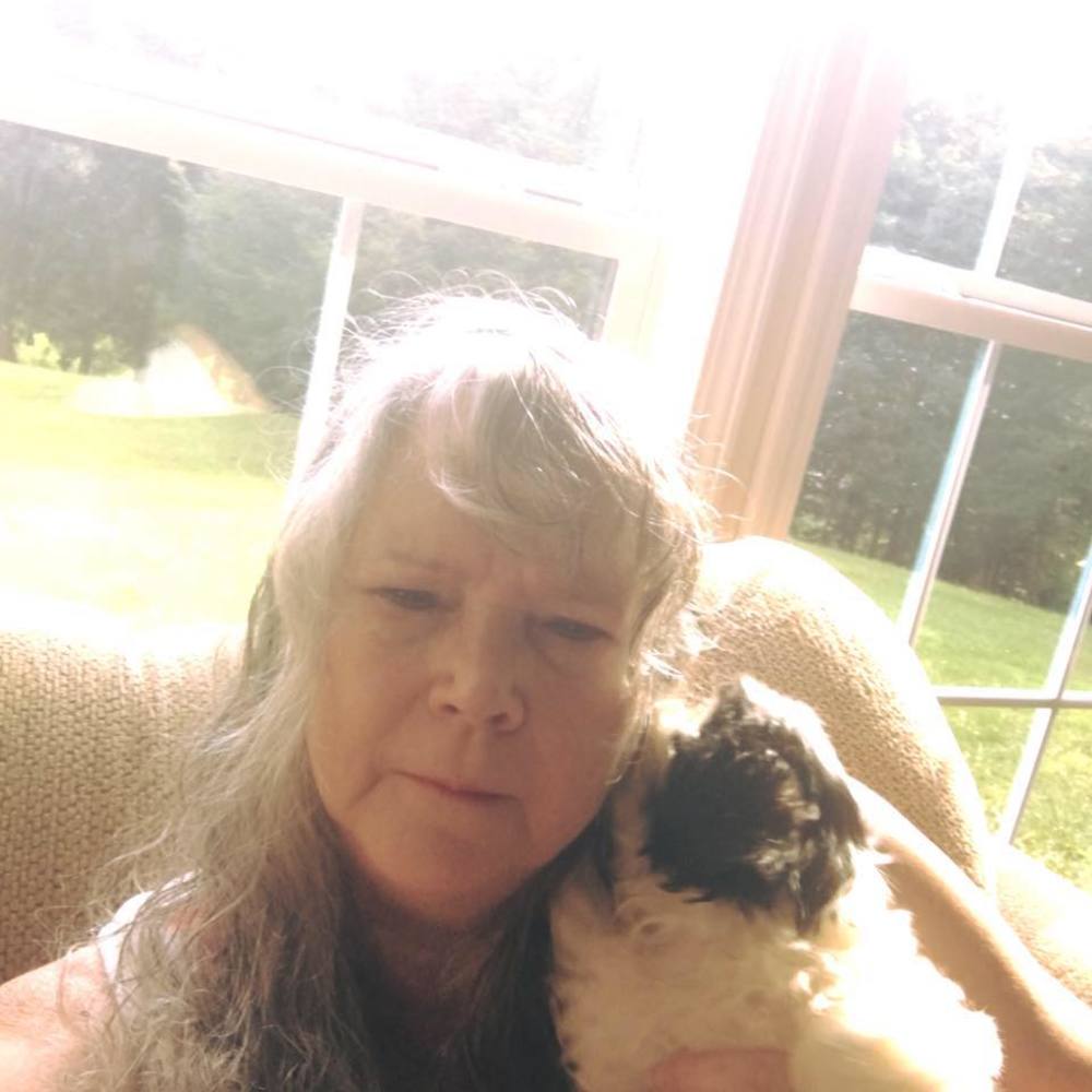 Meet your Posher, Pansy